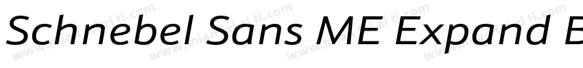 Schnebel Sans ME Expand Black Itali字体转换